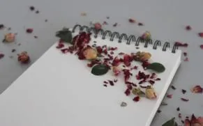 Wedding Plan